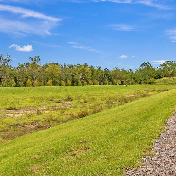 The Grove at Clermont general photo